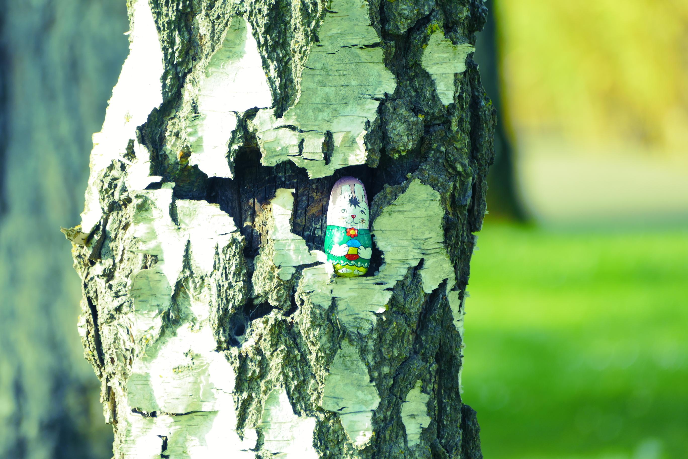 Chasse aux oeufs 09 04 2023