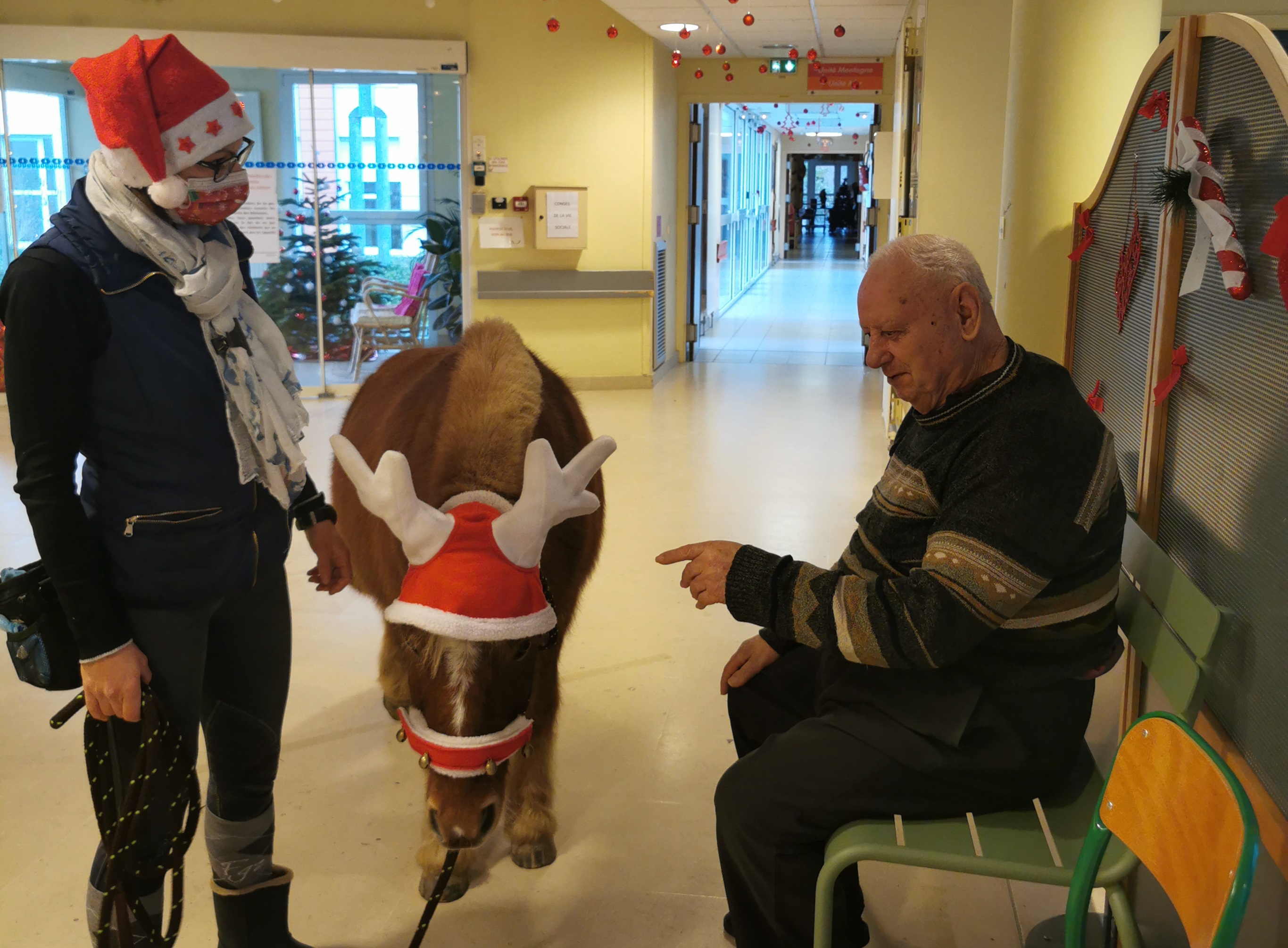 EQUITHERAPIE