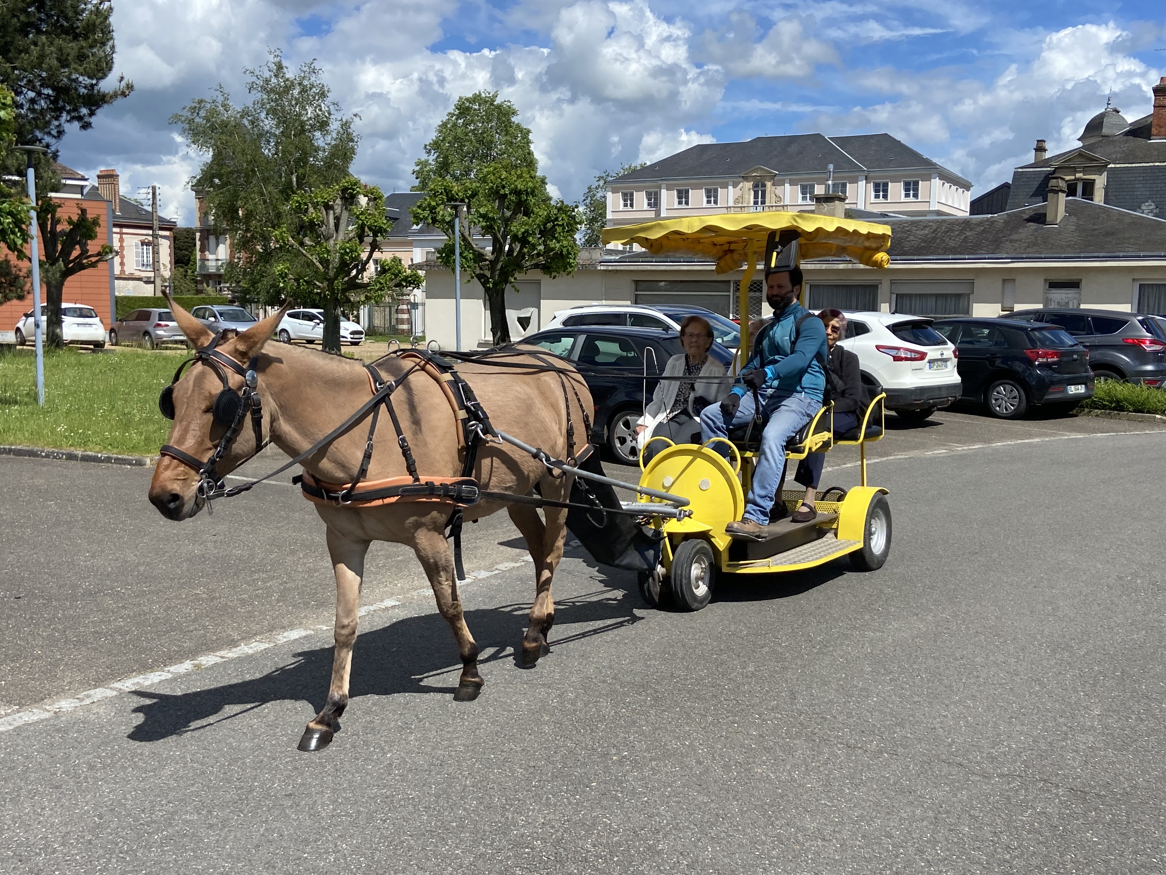 HOP 'N' TROT