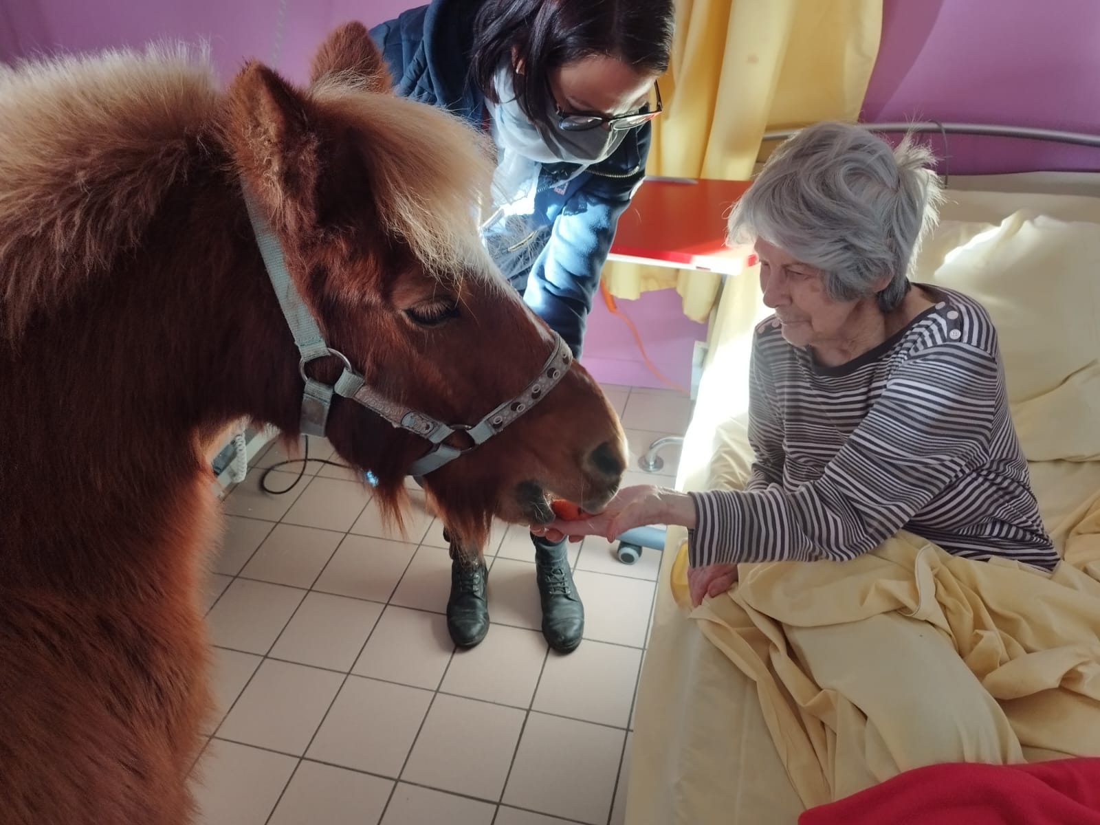 EQUITHERAPIE RHD