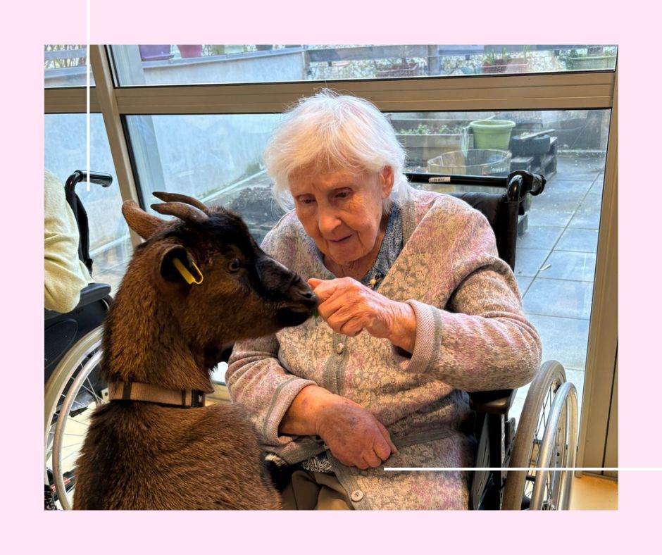 MEDIATION ANIMALE AQUA CHEVRES