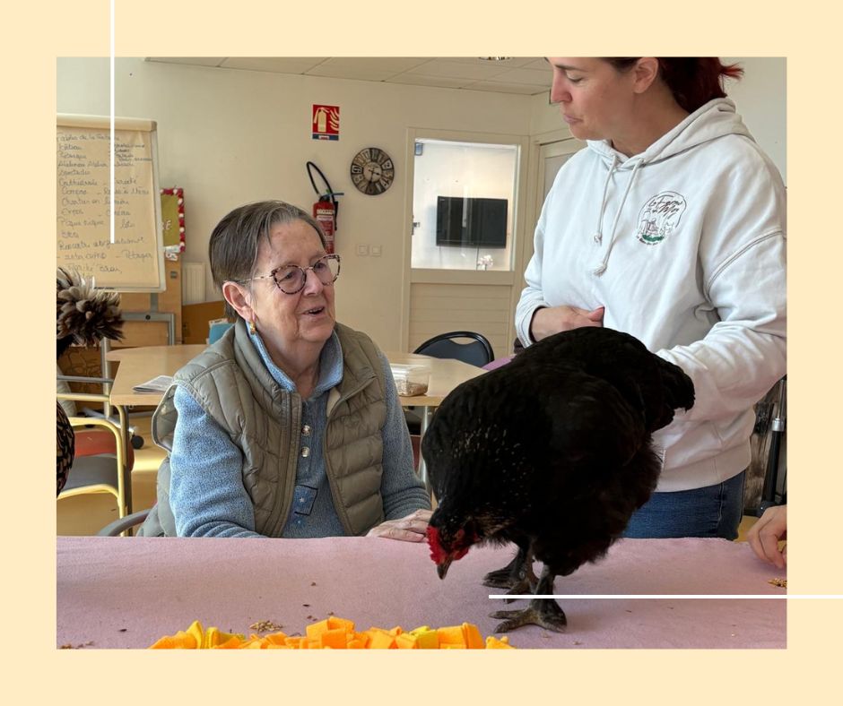 MEDIATION ANIMALE POULES RPD