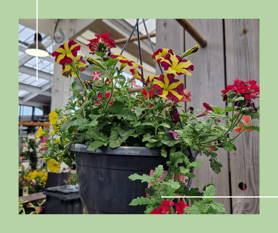 SORTIE JARDINERIE PASA