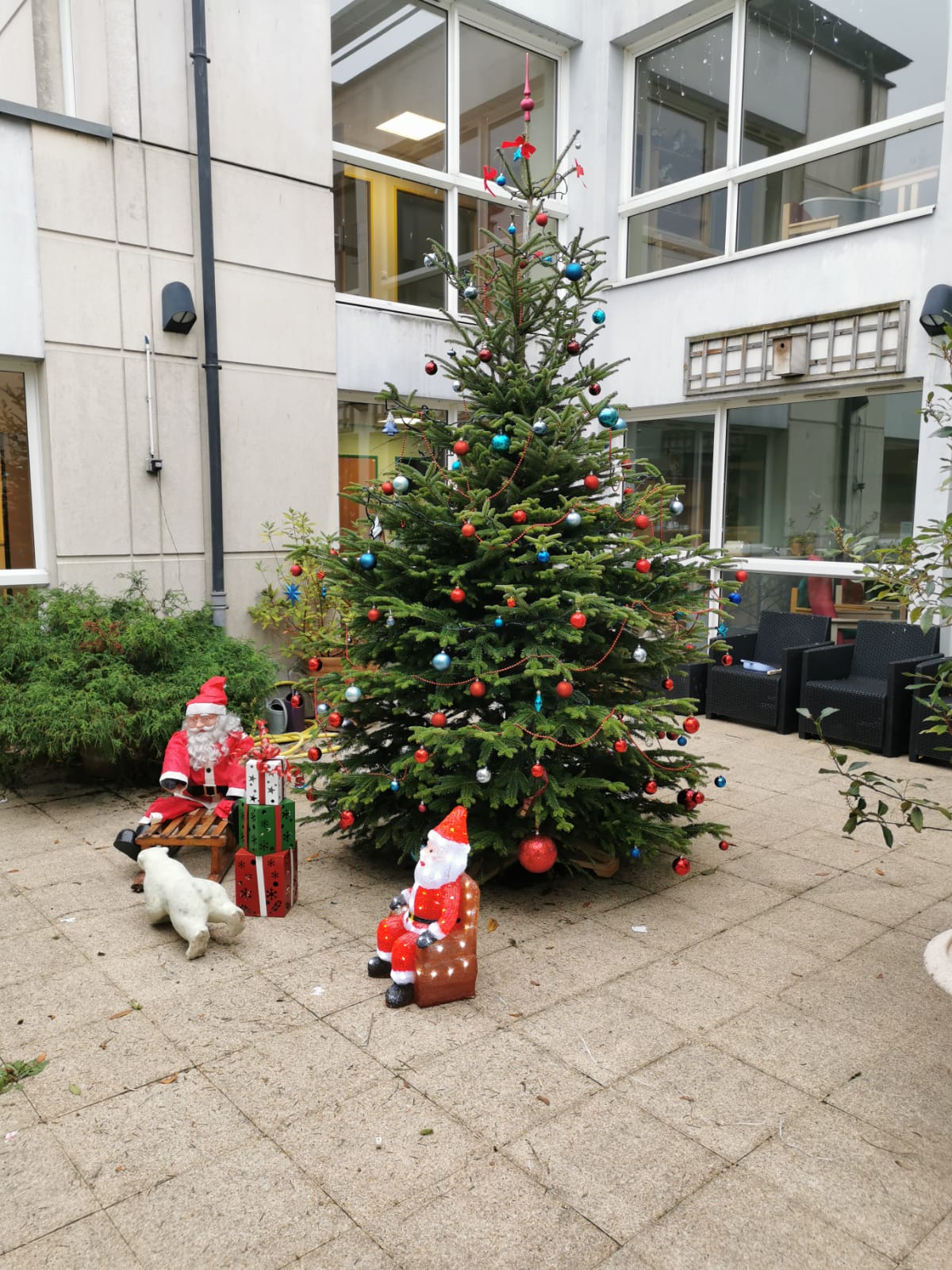 Sapin RVE 2022