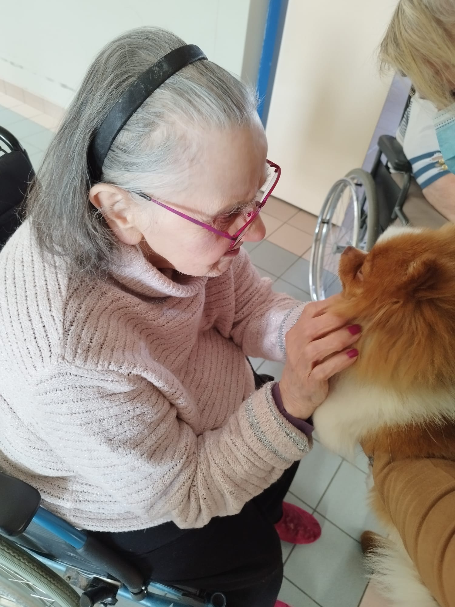 Intervention animale3