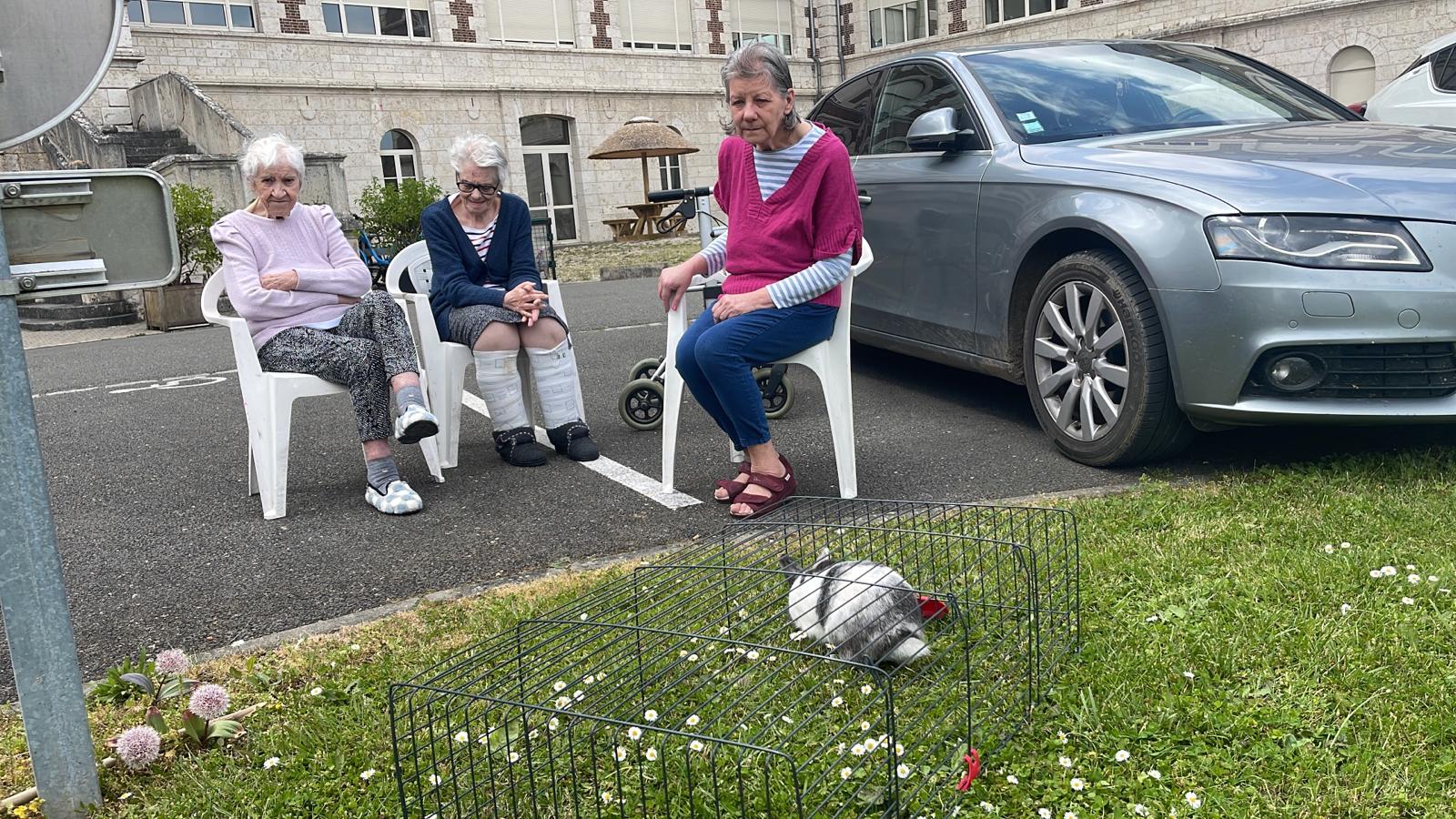 Arrivée lapin RHD mai 2023