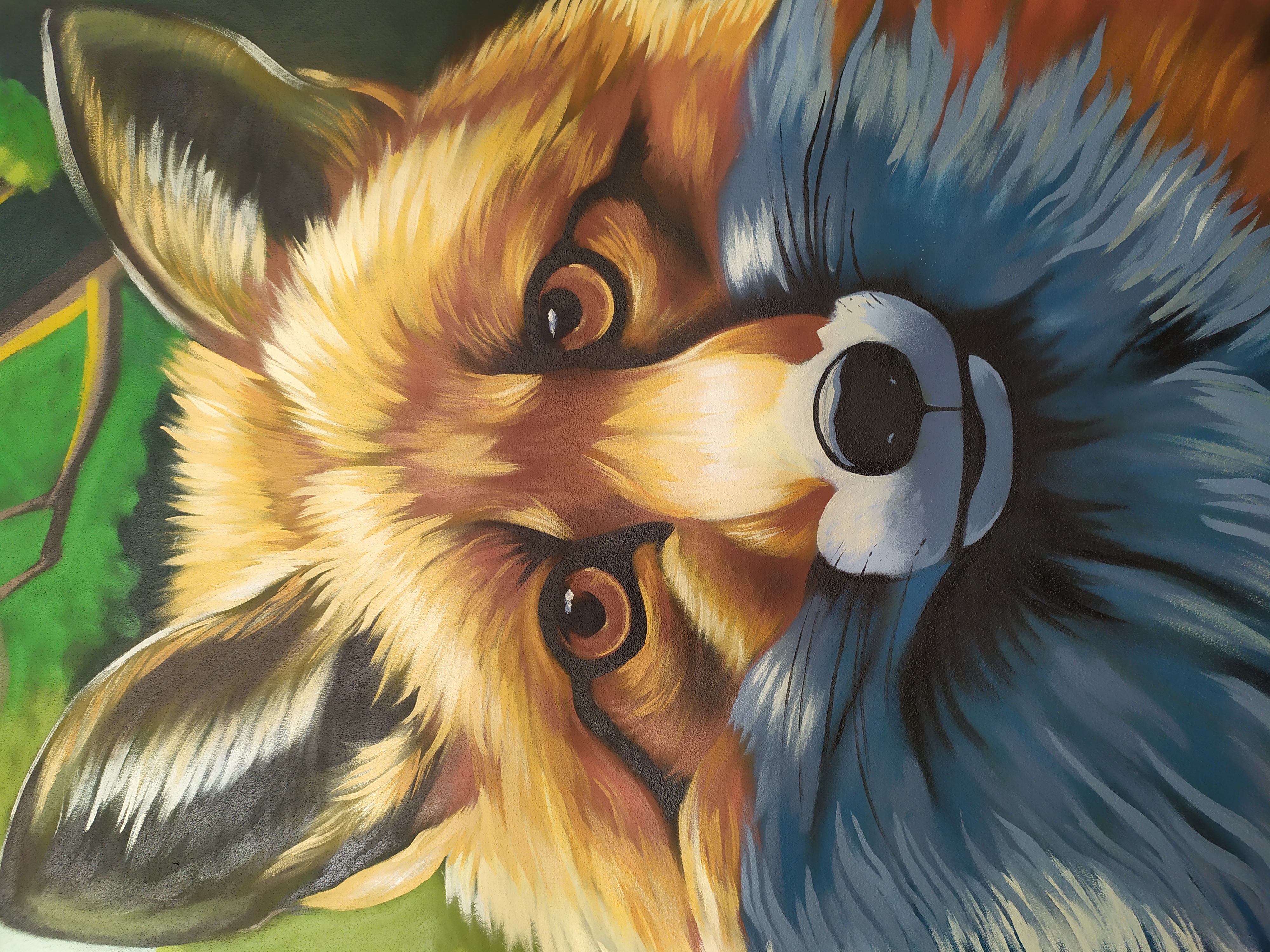RENARD 03