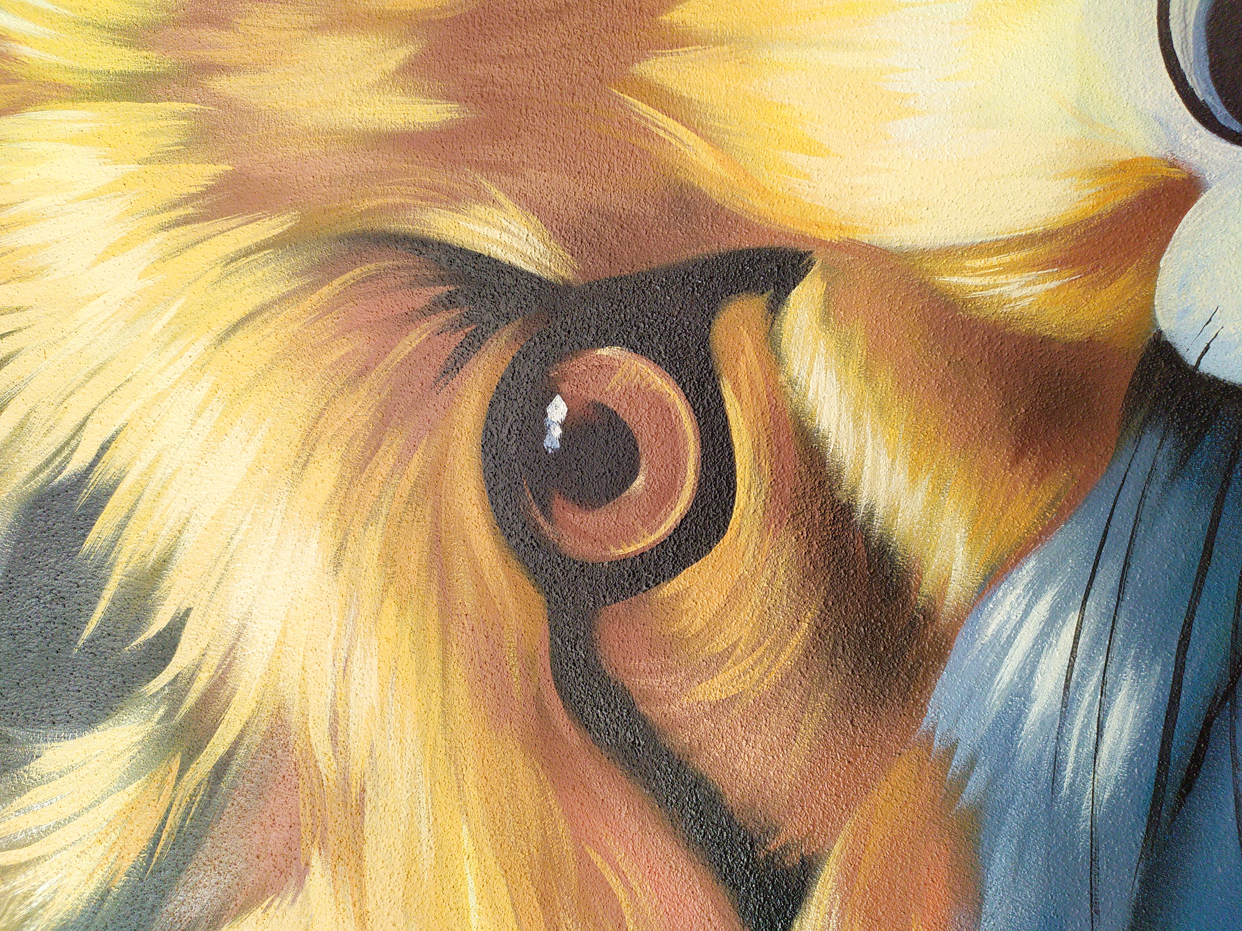 RENARD 02