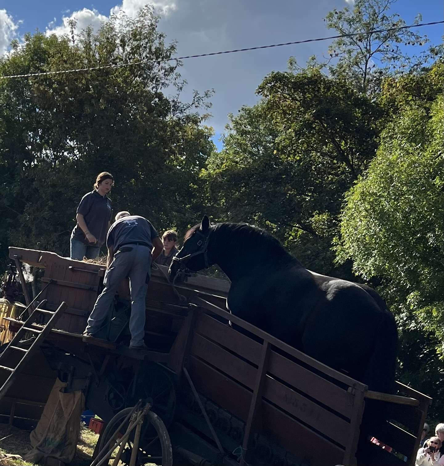 Fêtes des vendanges sept 2022 Cheval