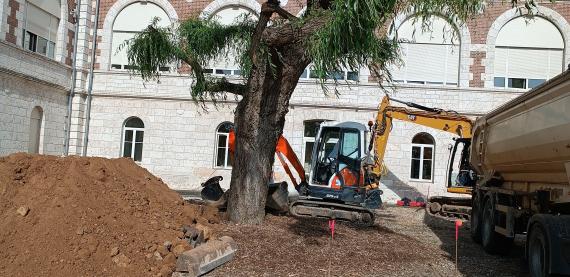 Jardin thérapeutique travaux mai 2023