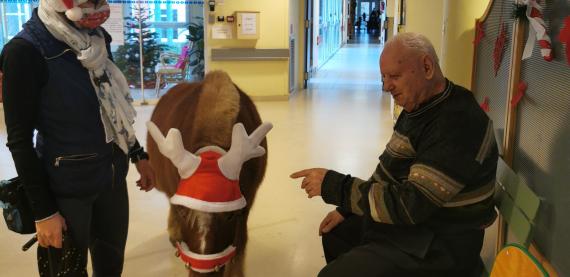 EQUITHERAPIE