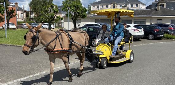 HOP 'N' TROT