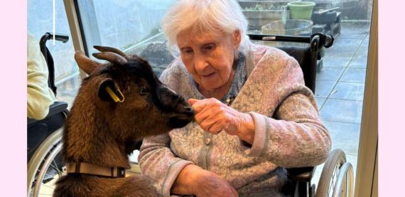 MEDIATION ANIMALE AQUA CHEVRES