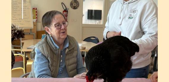 MEDIATION ANIMALE POULES RPD
